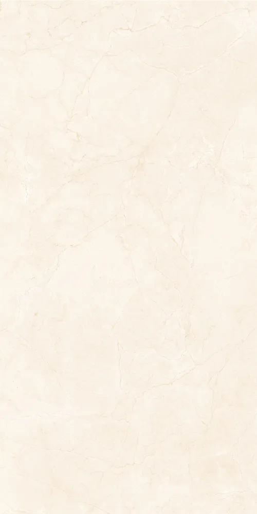 Плитка BRIGHTON LIGHT 60x120
