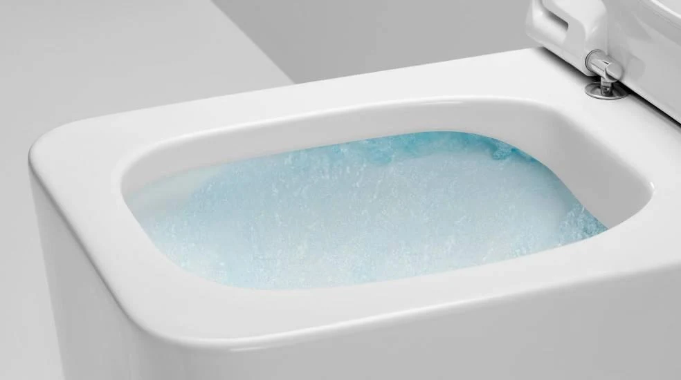 Vas WC monobloc Roca Carmen Rimless — vedere 2