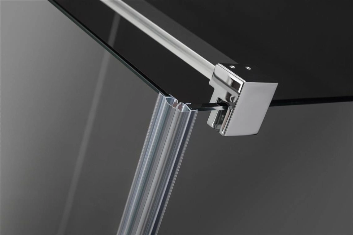 Ușa de nișă Radaway Euphoria DWJ 100/120 — 4
