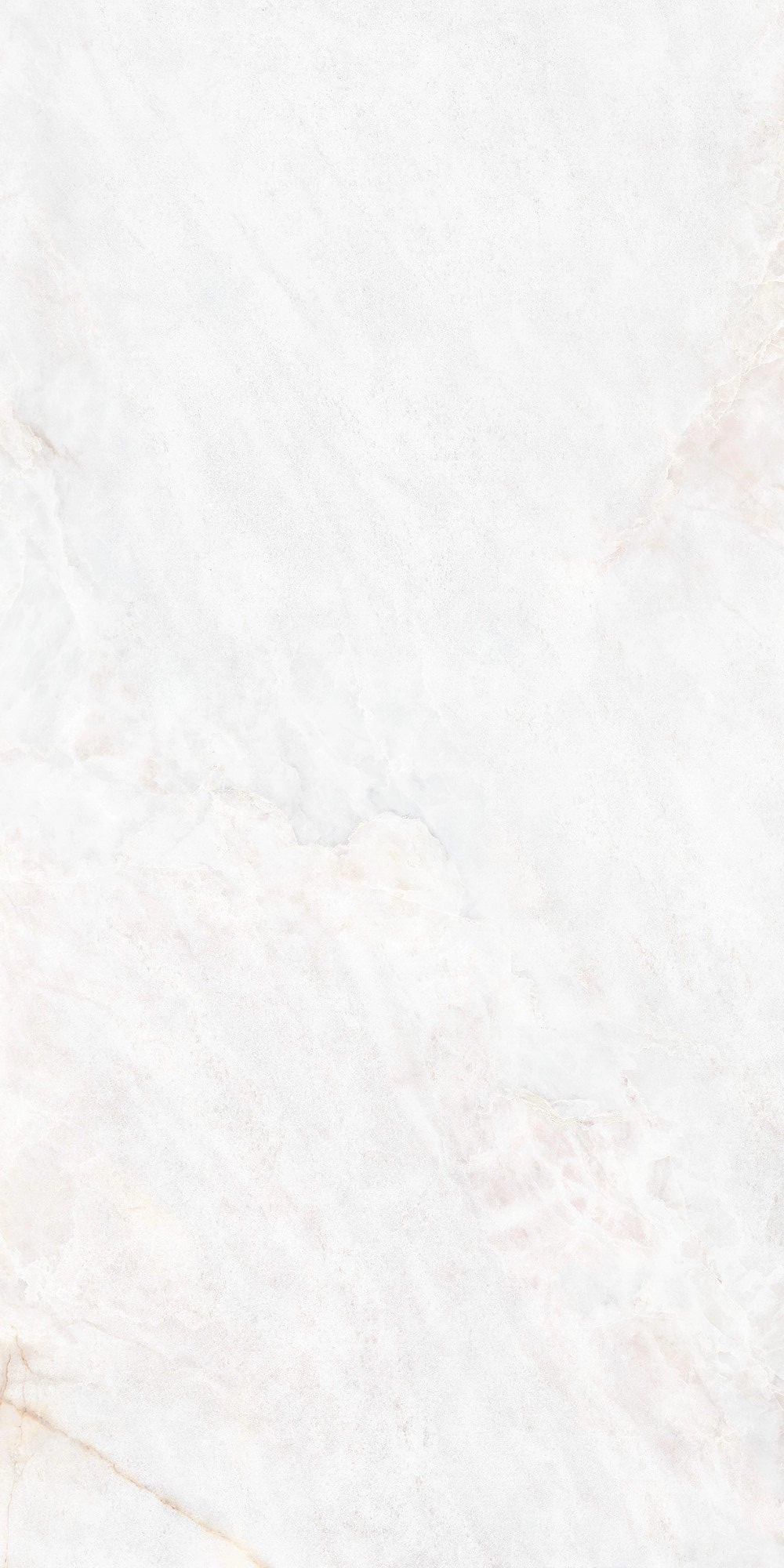 DAHLIA  WHITE NT 60x120 — 2