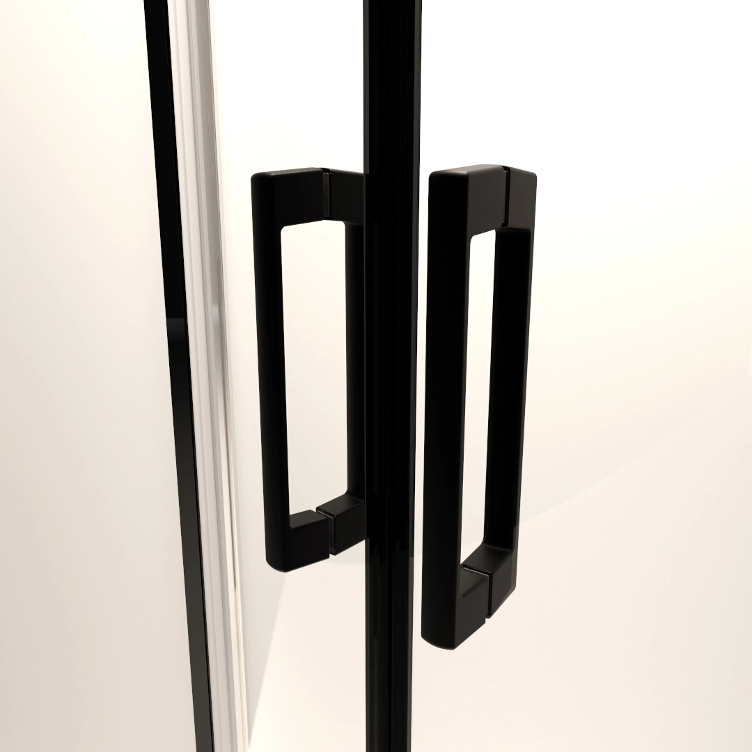 Дверь в нишу Radaway Premium Pro Black DWJ 120x200 Левая — 4