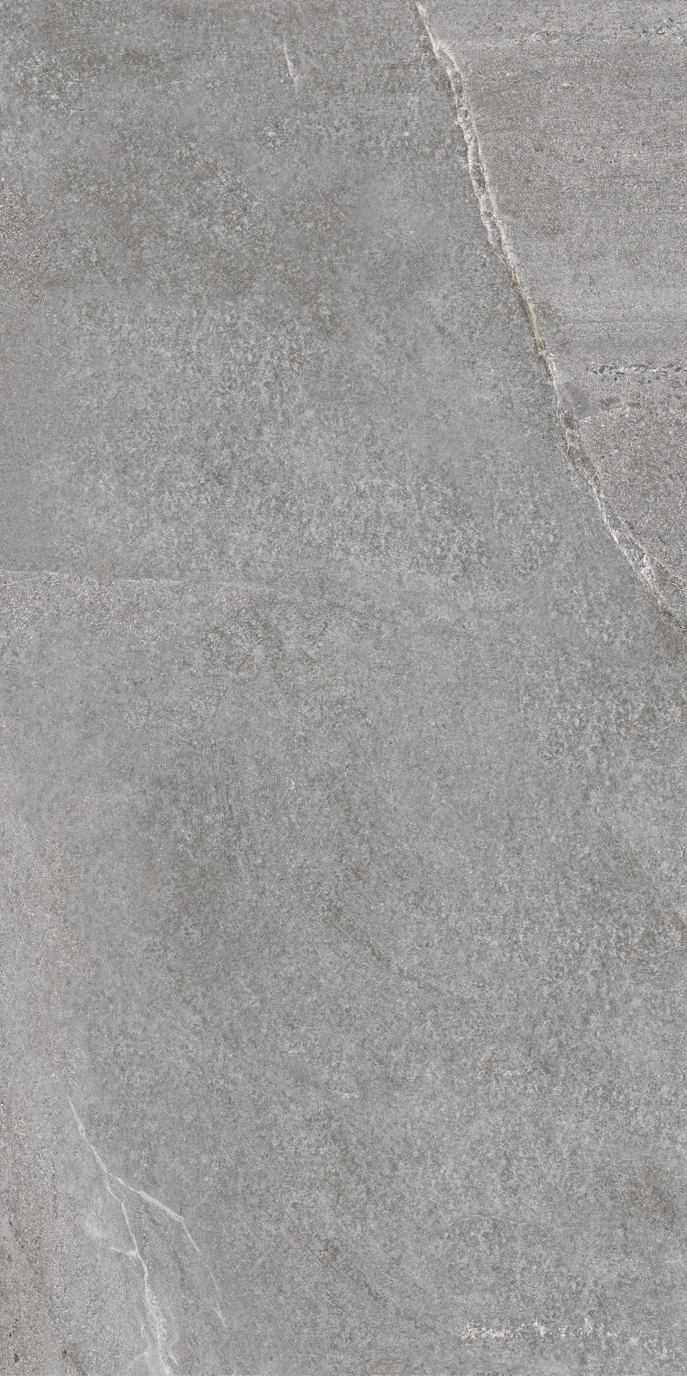 JOHNSTONE GREY MATE 60X120 RECT. — 9