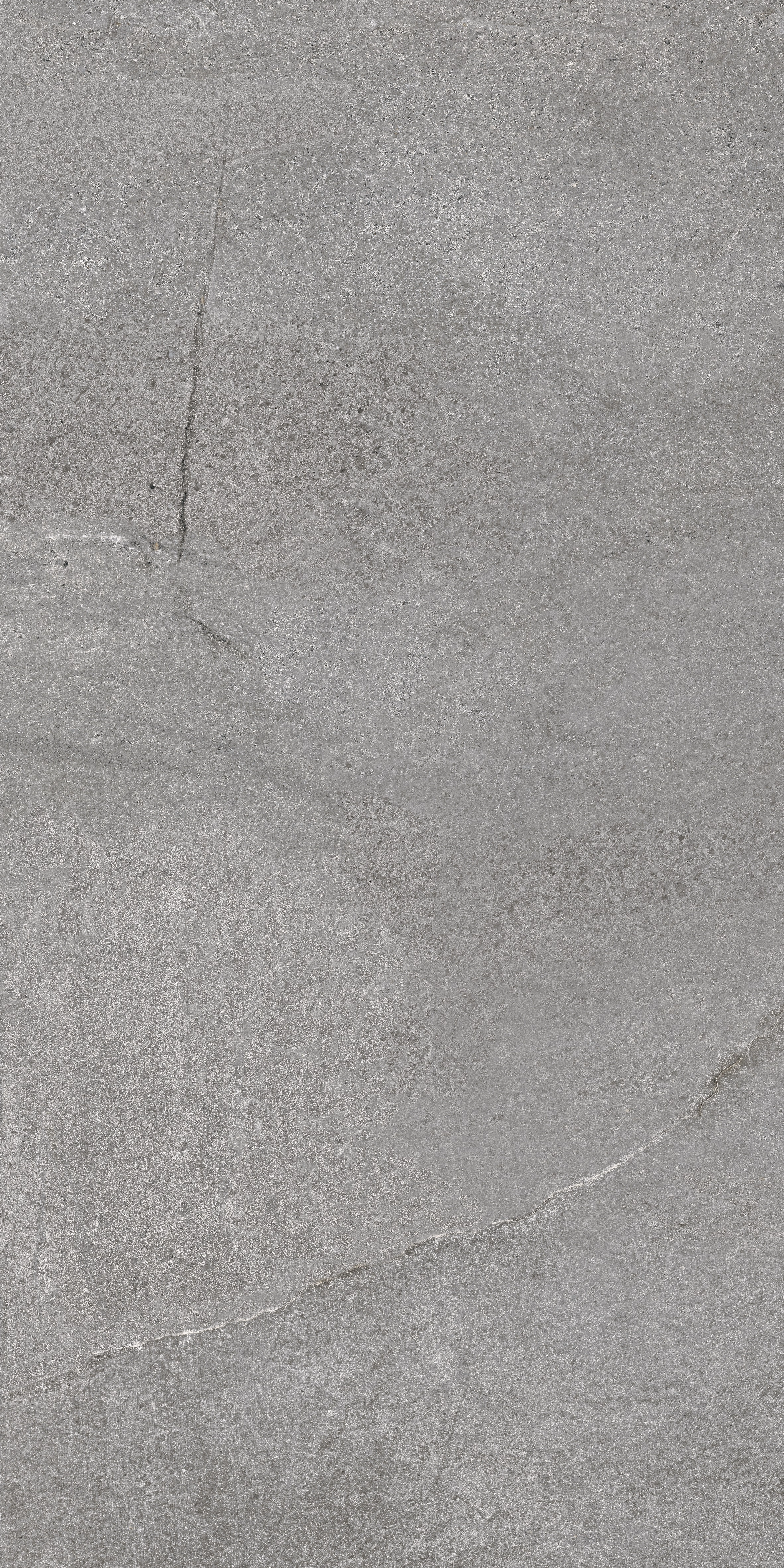 JOHNSTONE GREY MATE 60X120 RECT. — 8