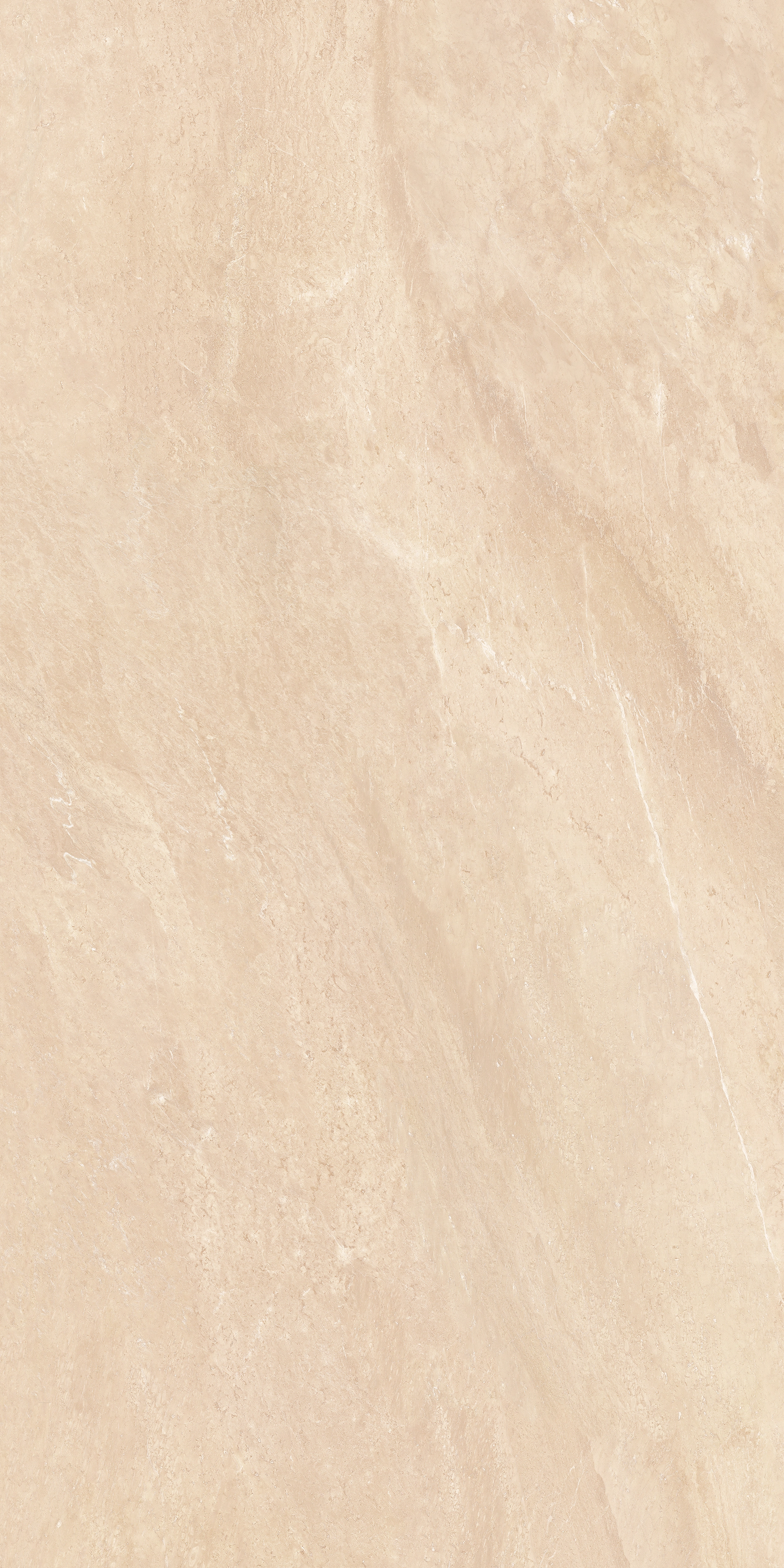 EREBOR BEIGE MATE 60X120 RECT. — 3