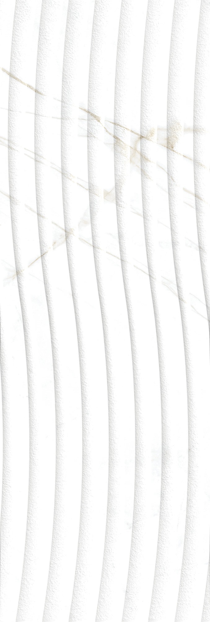 DUAL WHITE DECOR SP.Rect. 33,3x100 — 2