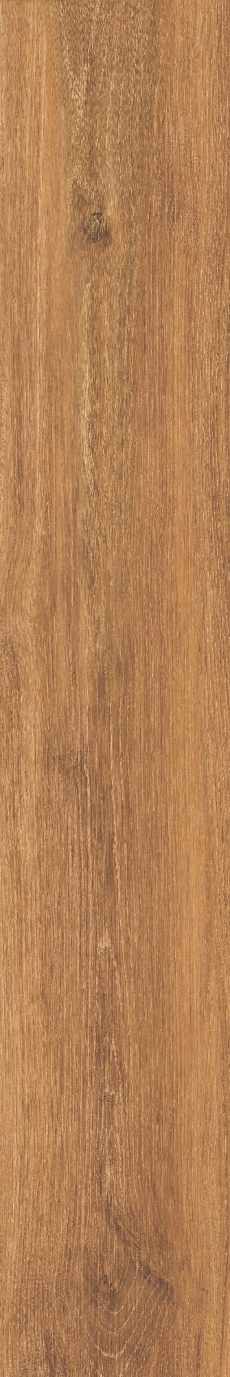 VERBIER HONEY  AS.Rect. 19,5x121 — 6