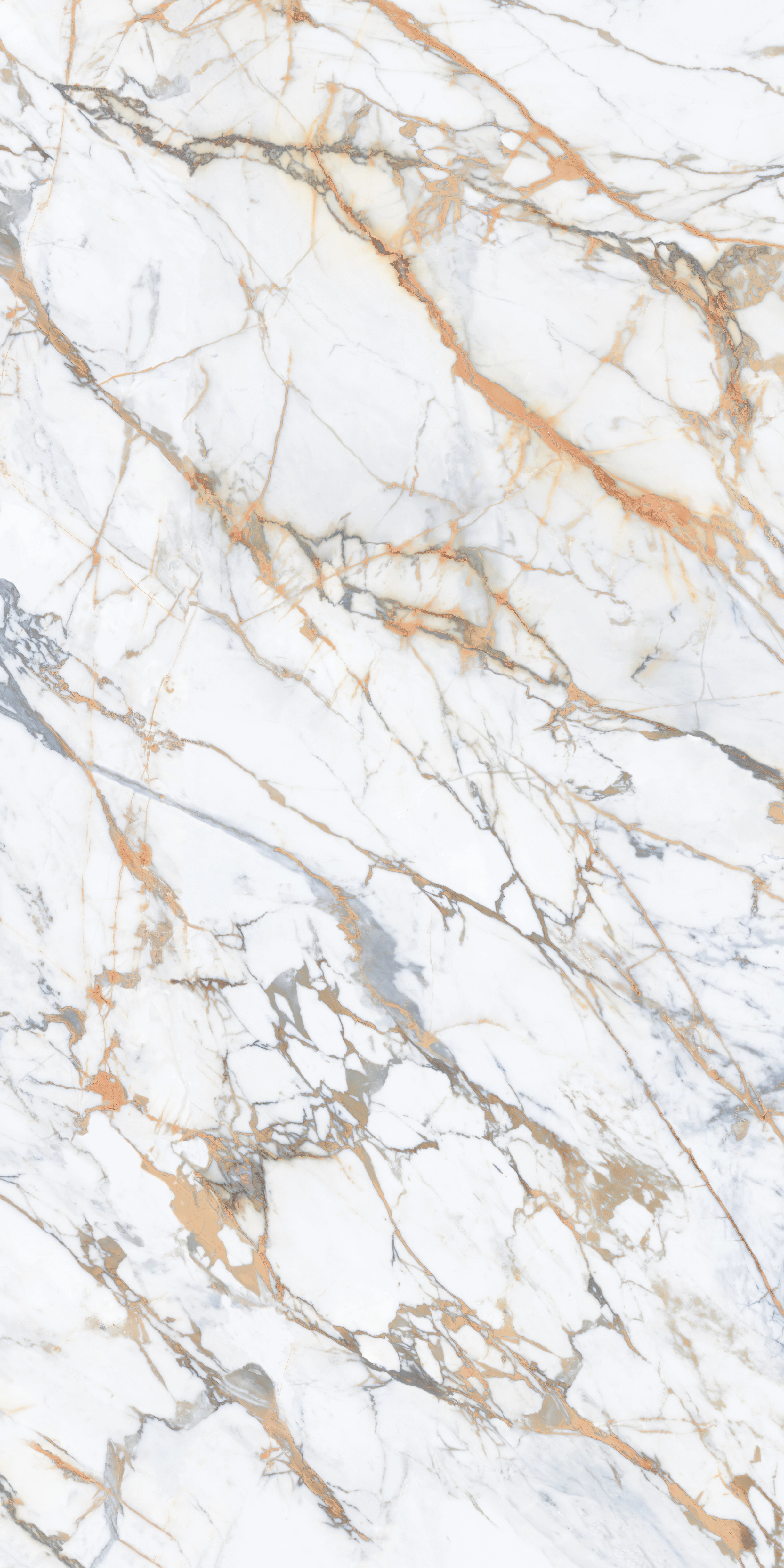 CALACATTA MACCHIA MAT 160x320 — 2