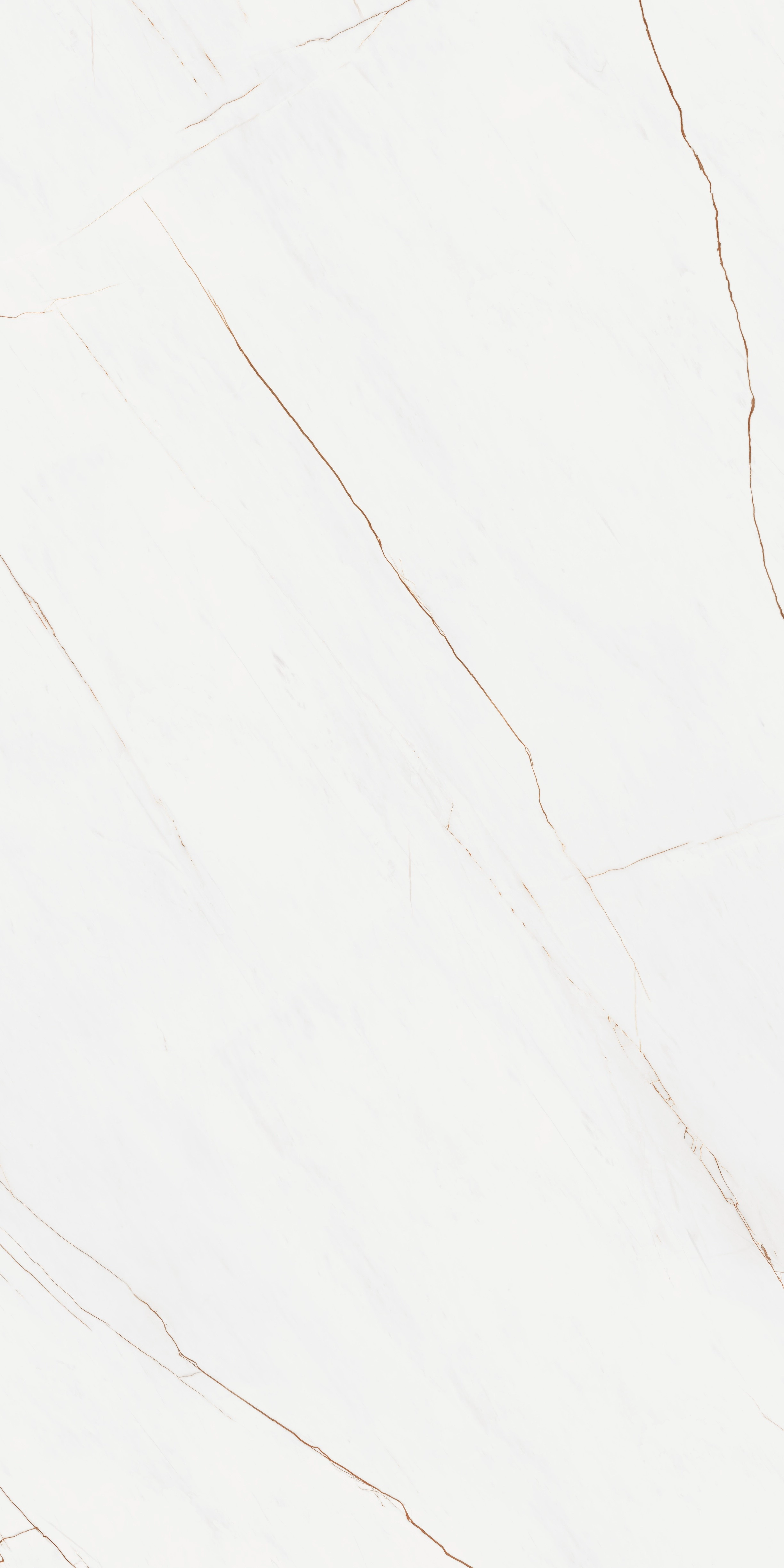 BRONZE LINE POL 160x320 — 2