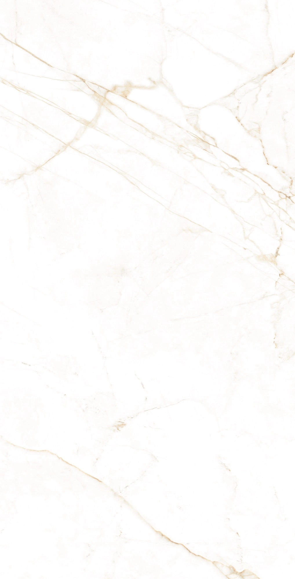 DUAL WHITE SP.Rect. 75,5x151x9