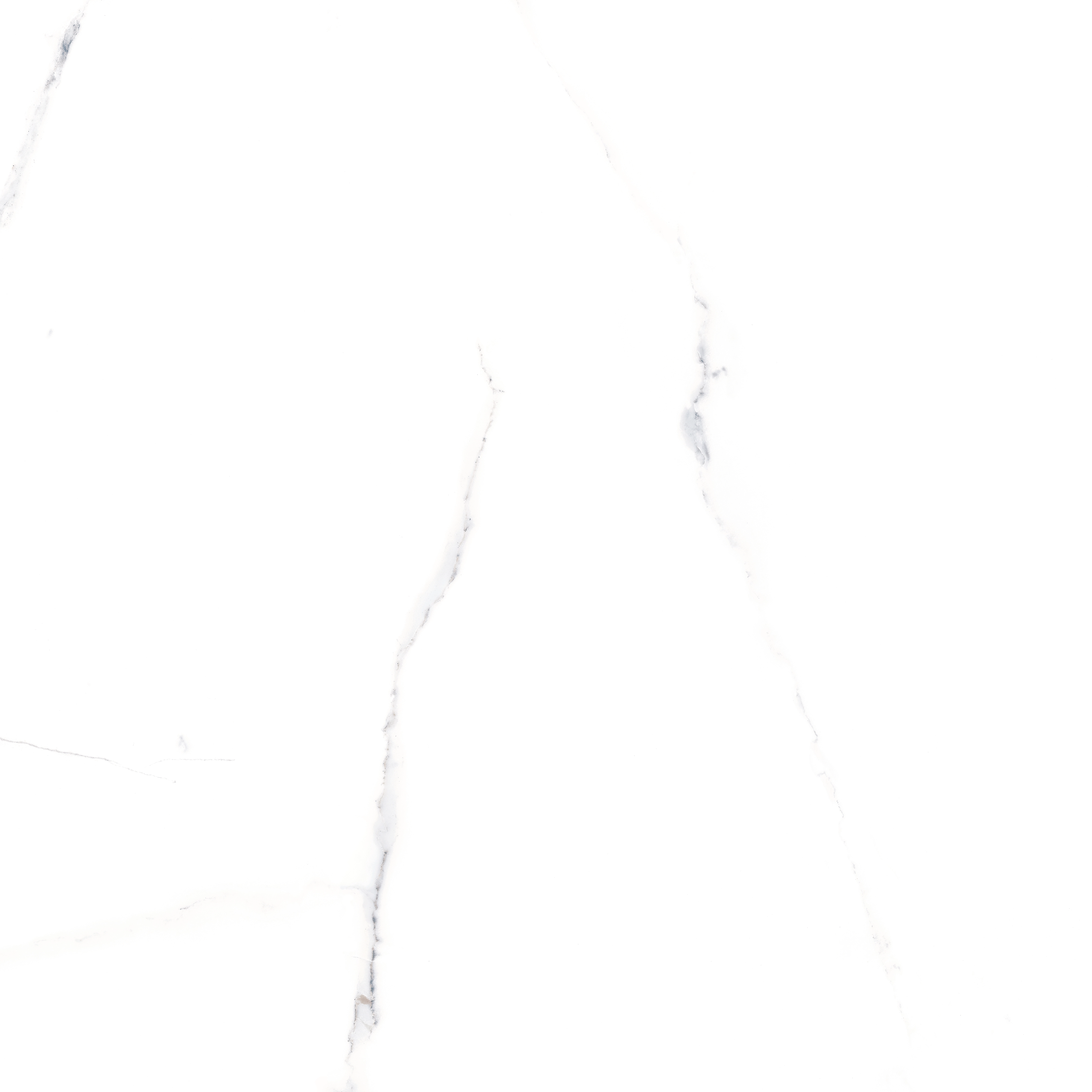 ALSACIA MT 100x100 — 1