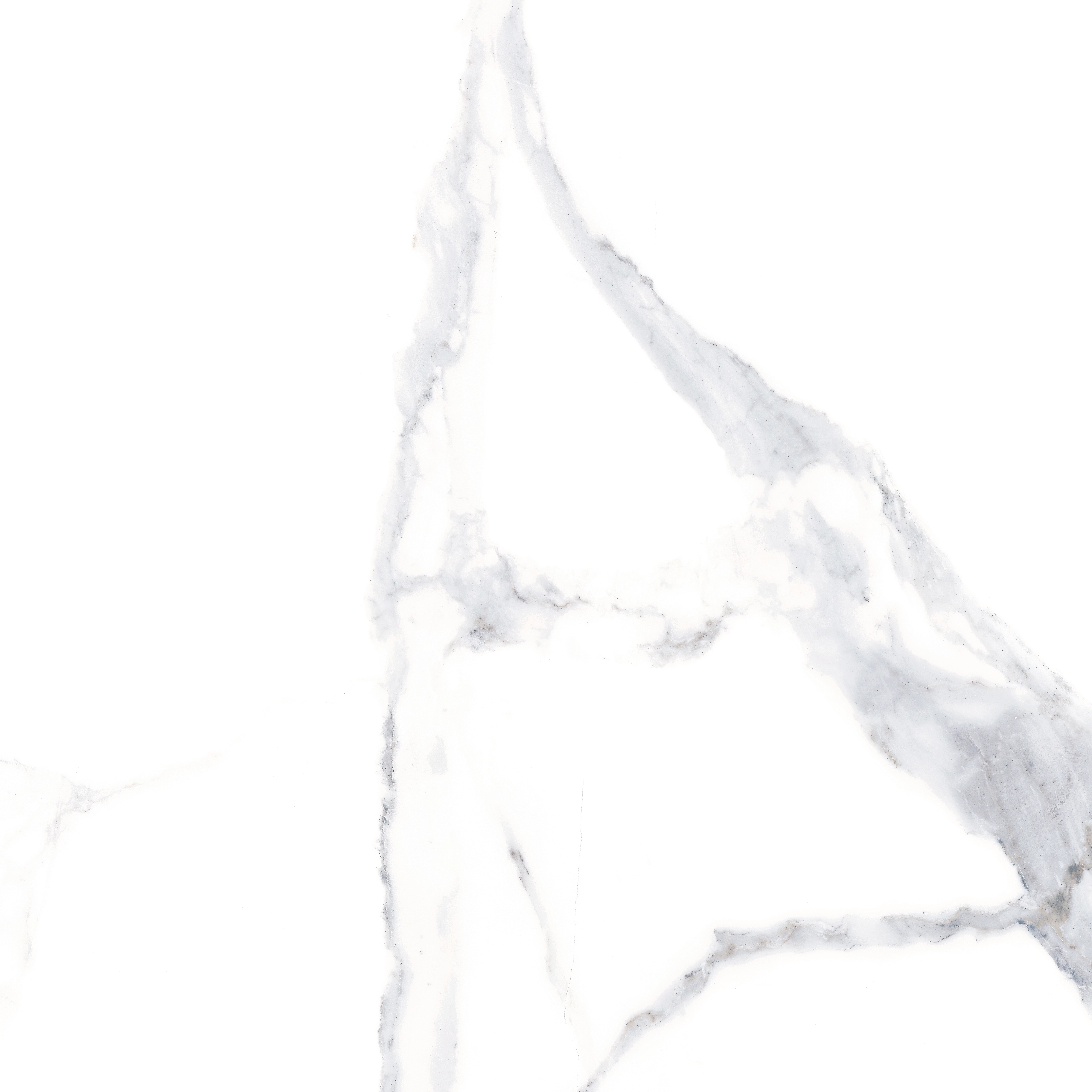 ALSACIA MT 100x100 — 2