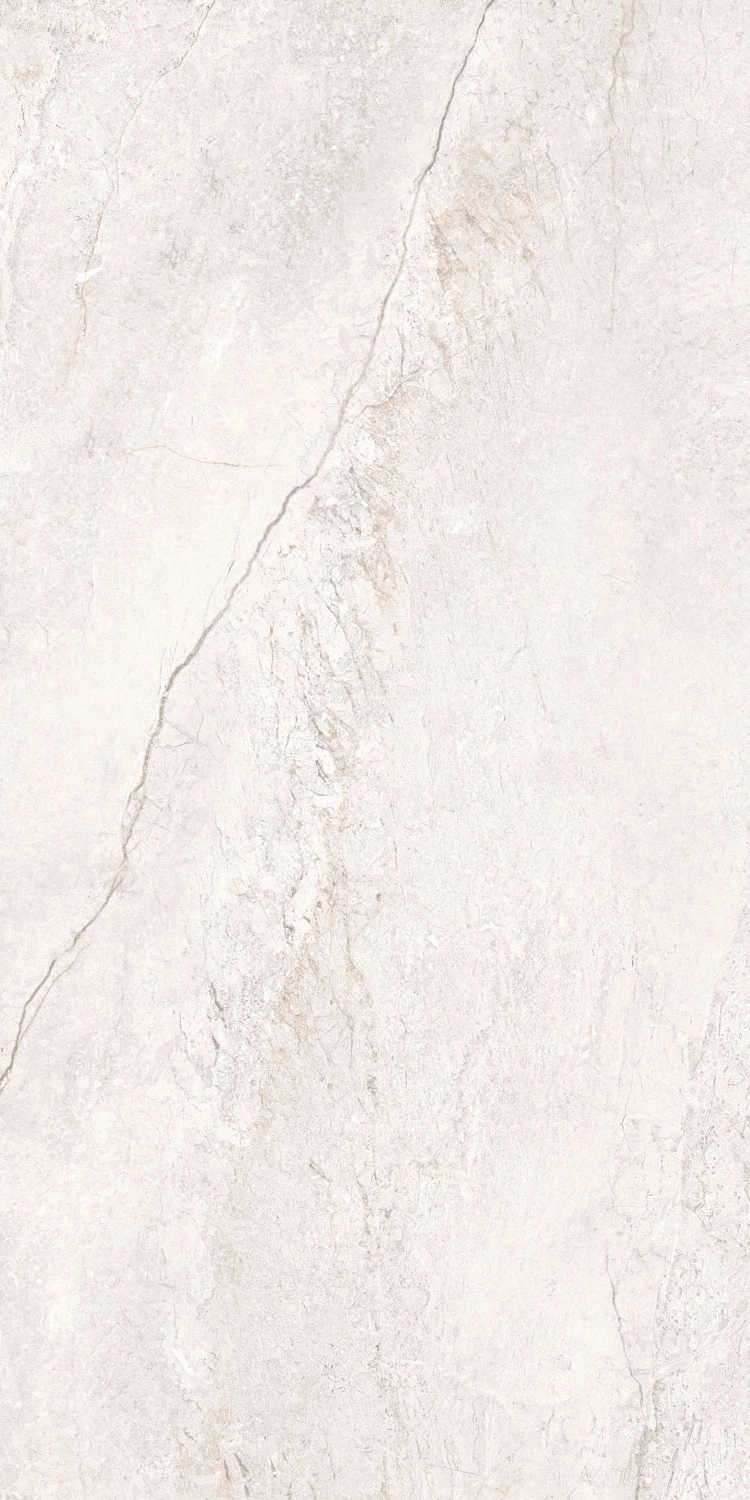BRECCIA WHITE MAT 60x120