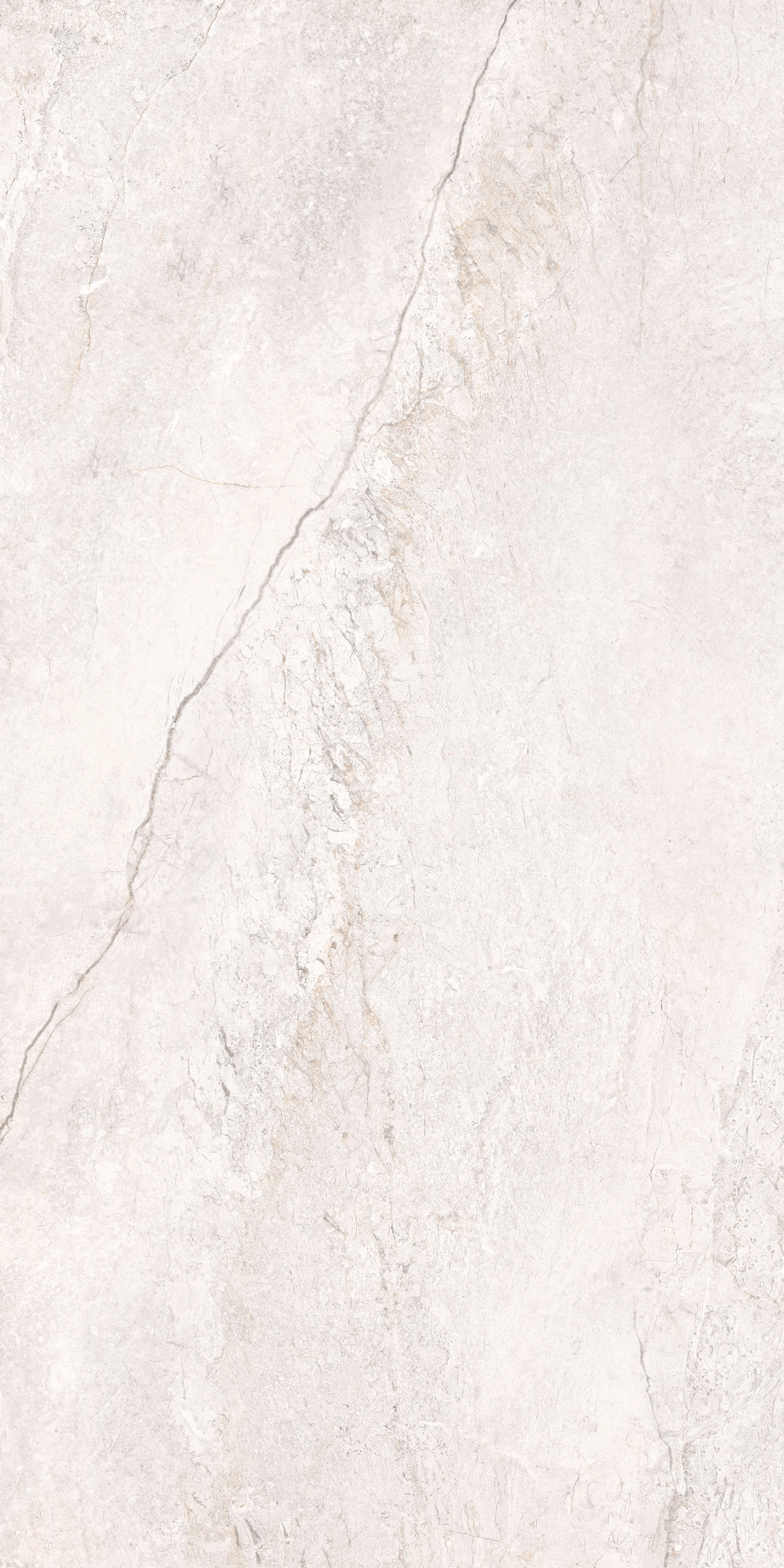 BRECCIA WHITE MAT 60x120 — 5