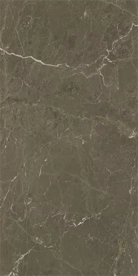 COFFEE BROWN MATTE  60x120