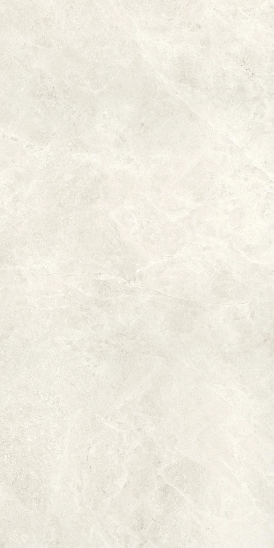 Compact Bone 60x120 Silk — 2