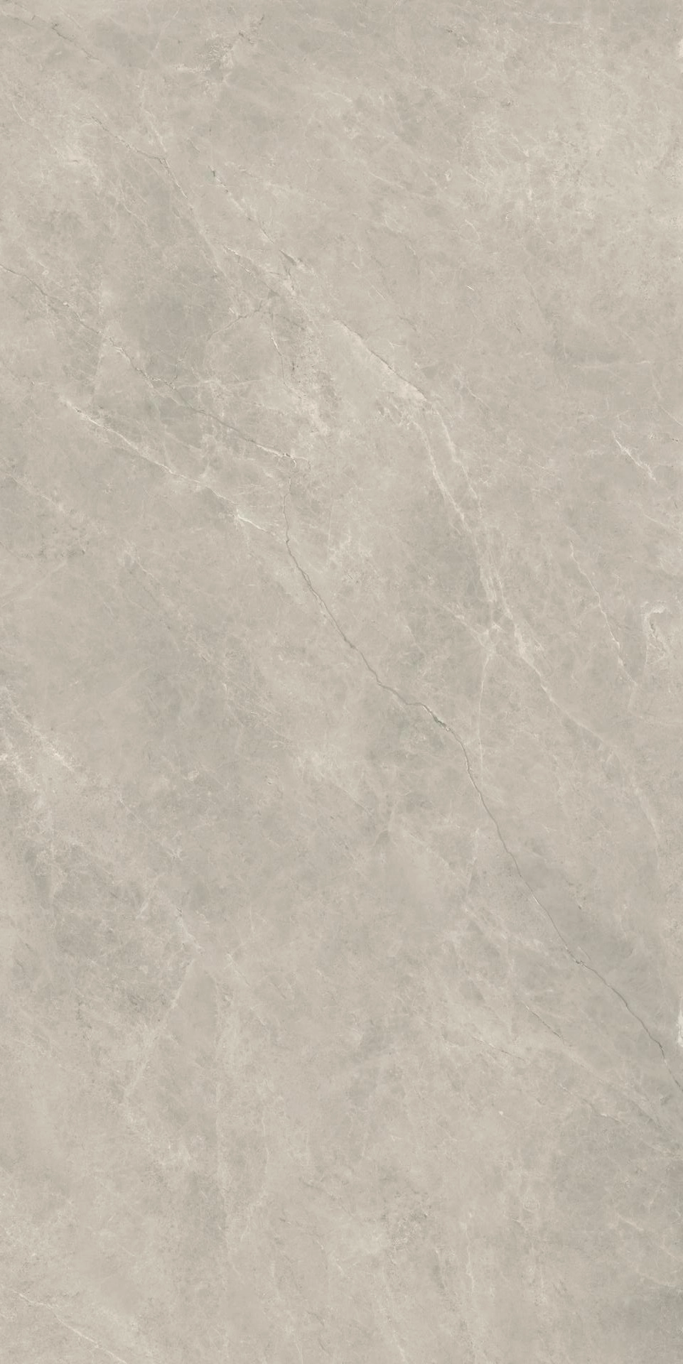 Compact Fossil 60x120 Silk