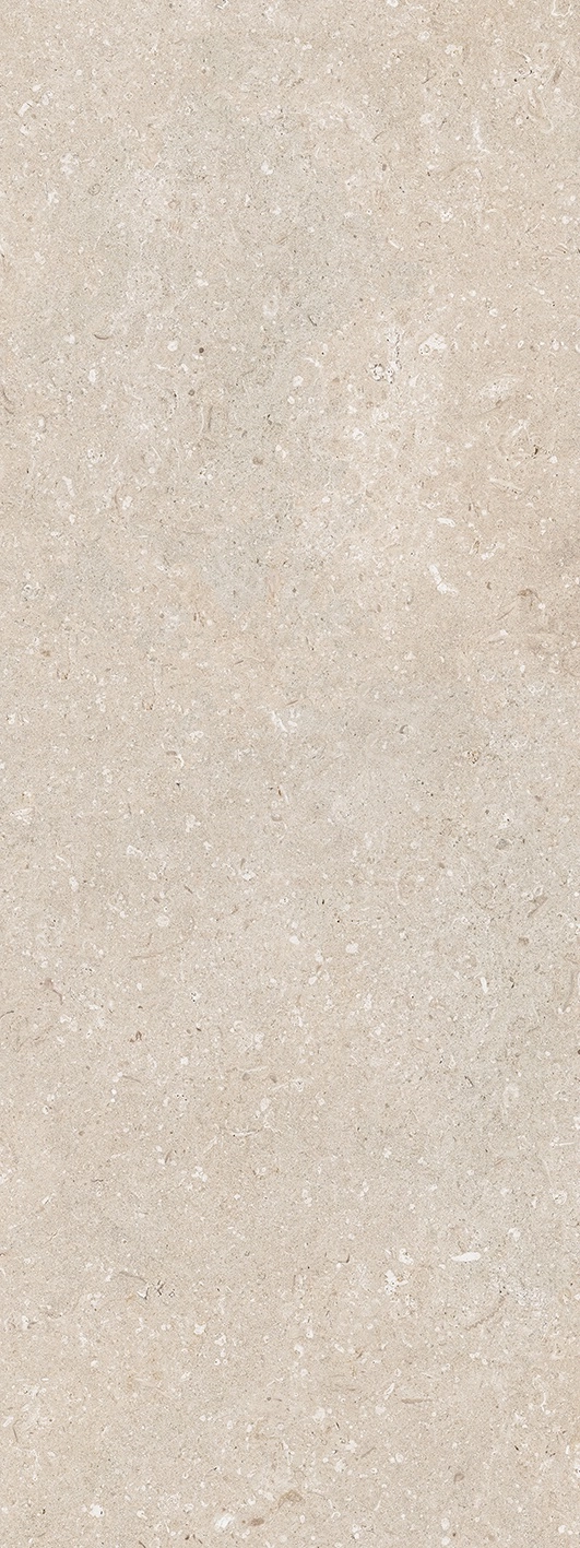 CORAL CALIZA 45X120 — 2
