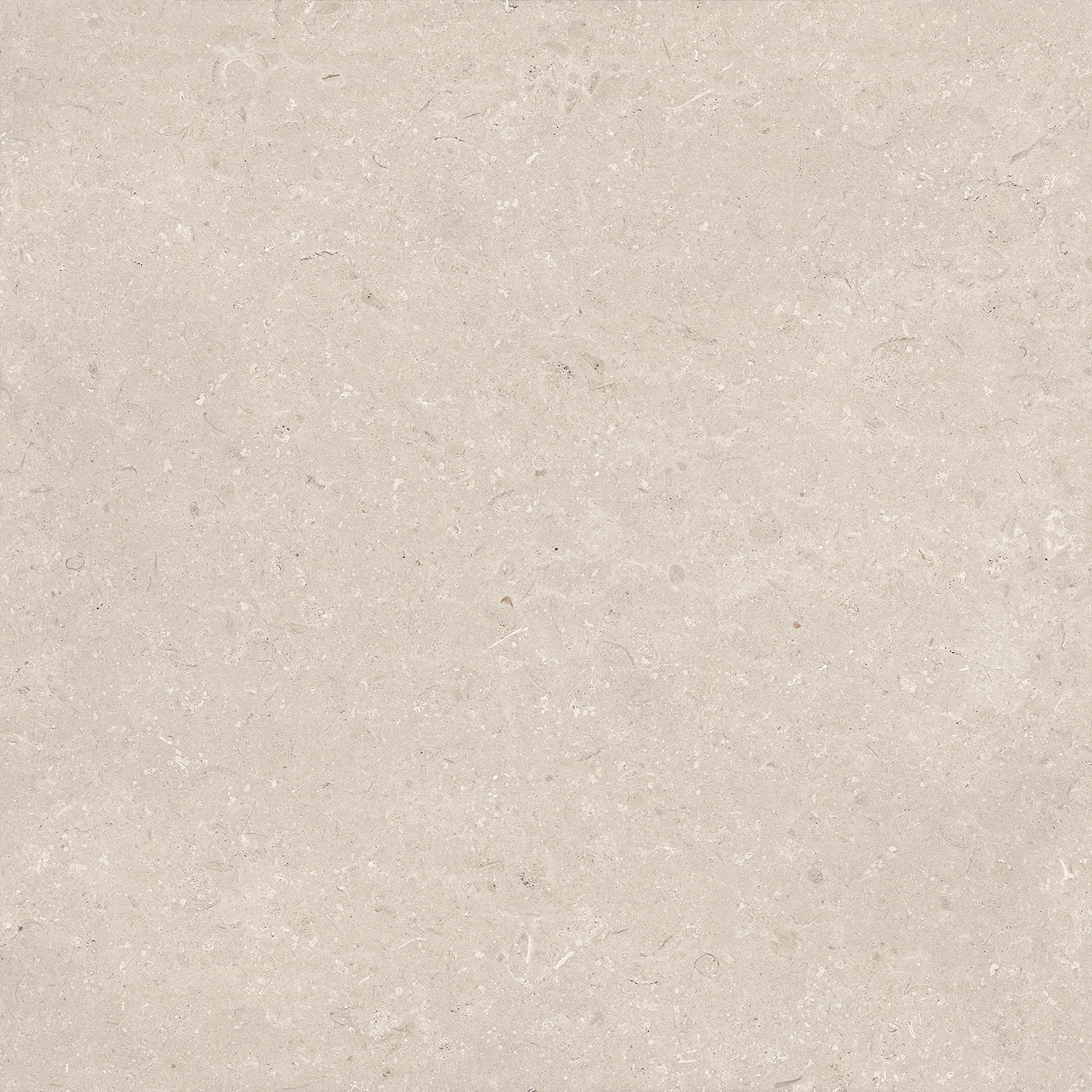 CORAL CALIZA C-2(R10) L 120X120 — 3