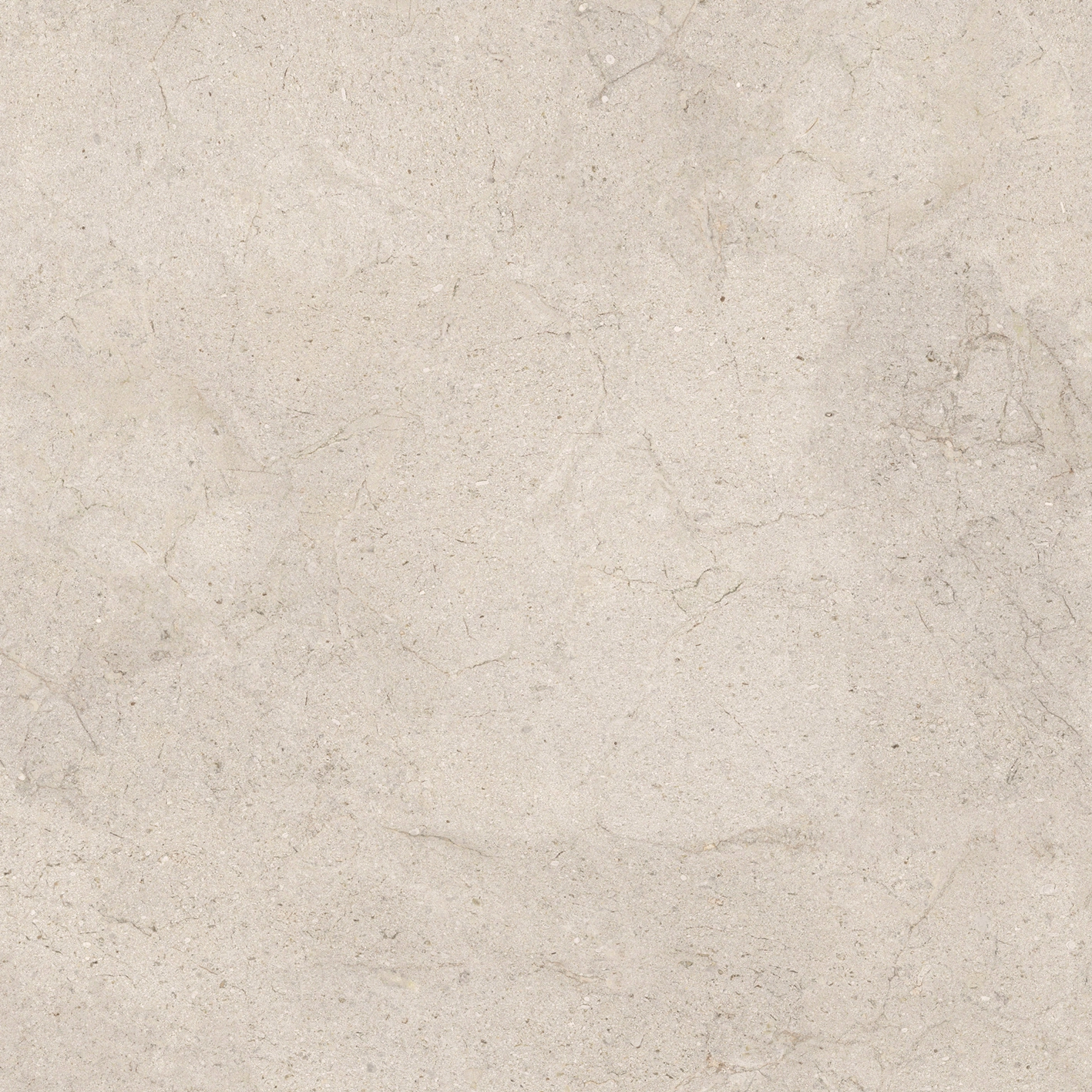 DORCIA BONE L C-2 120X120 — 2