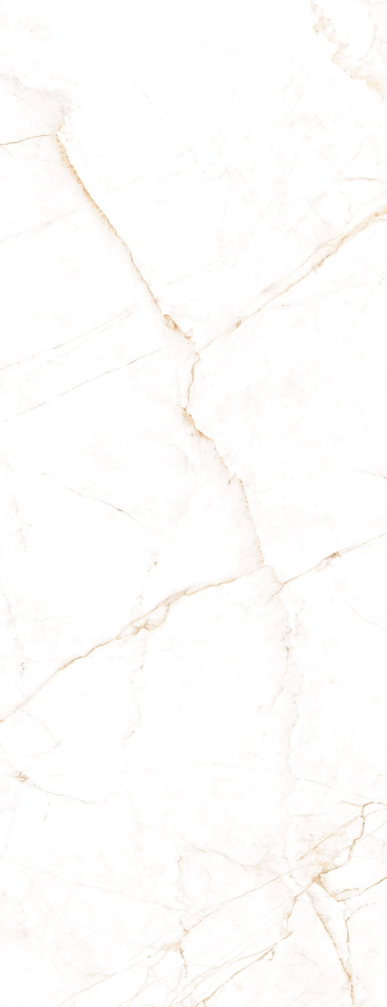 DUAL WHITE SP 100x275 — 2