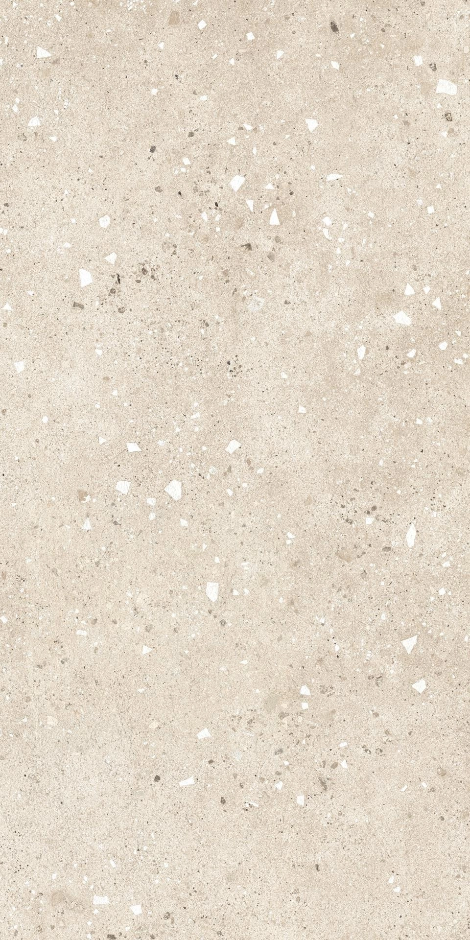 Grain Terrazzo Ivory 60x120 Matt — 2