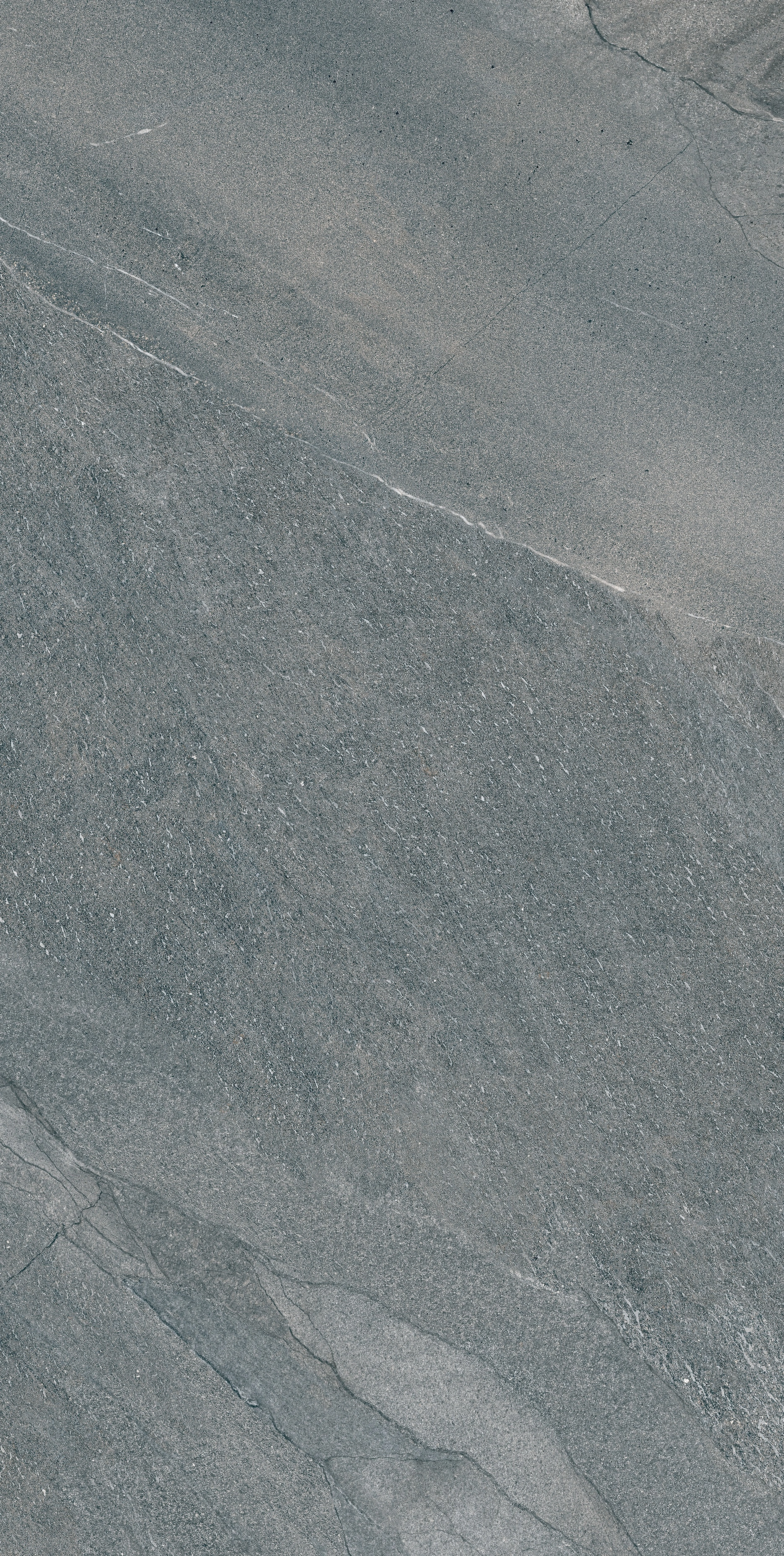 HALLEY ARGENT 60x120