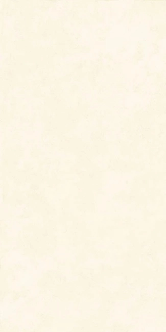 Gresie INTONACO WHITE MAT  60x120 — vedere 3