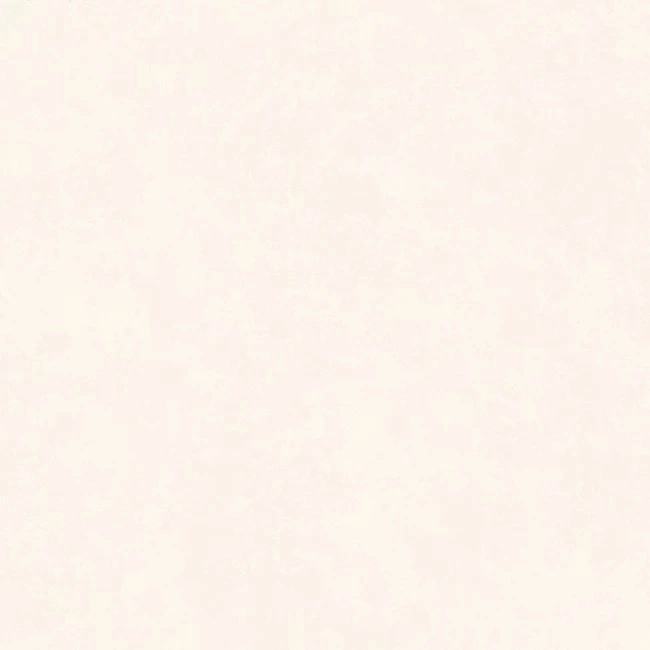 Плитка INTONACO WHITE Matte 120x120 — вид 4