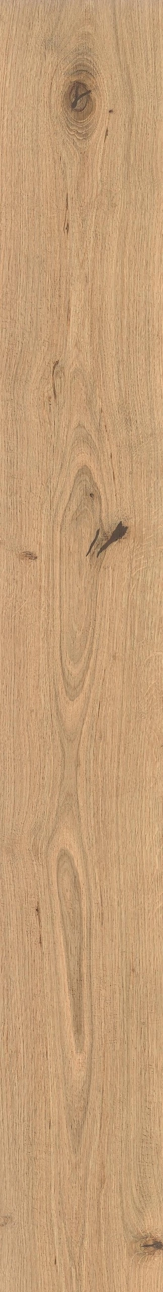 Log Moon Oak Forest 18.5x150