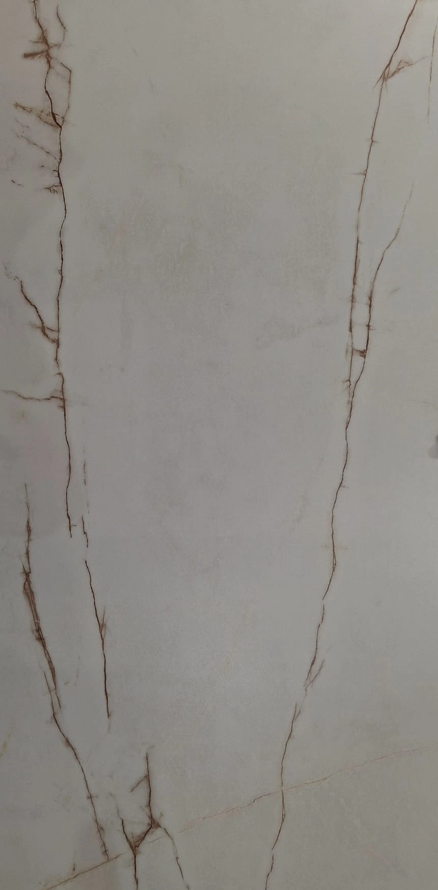 MAGNIFIC OXIDE Silk 60x120