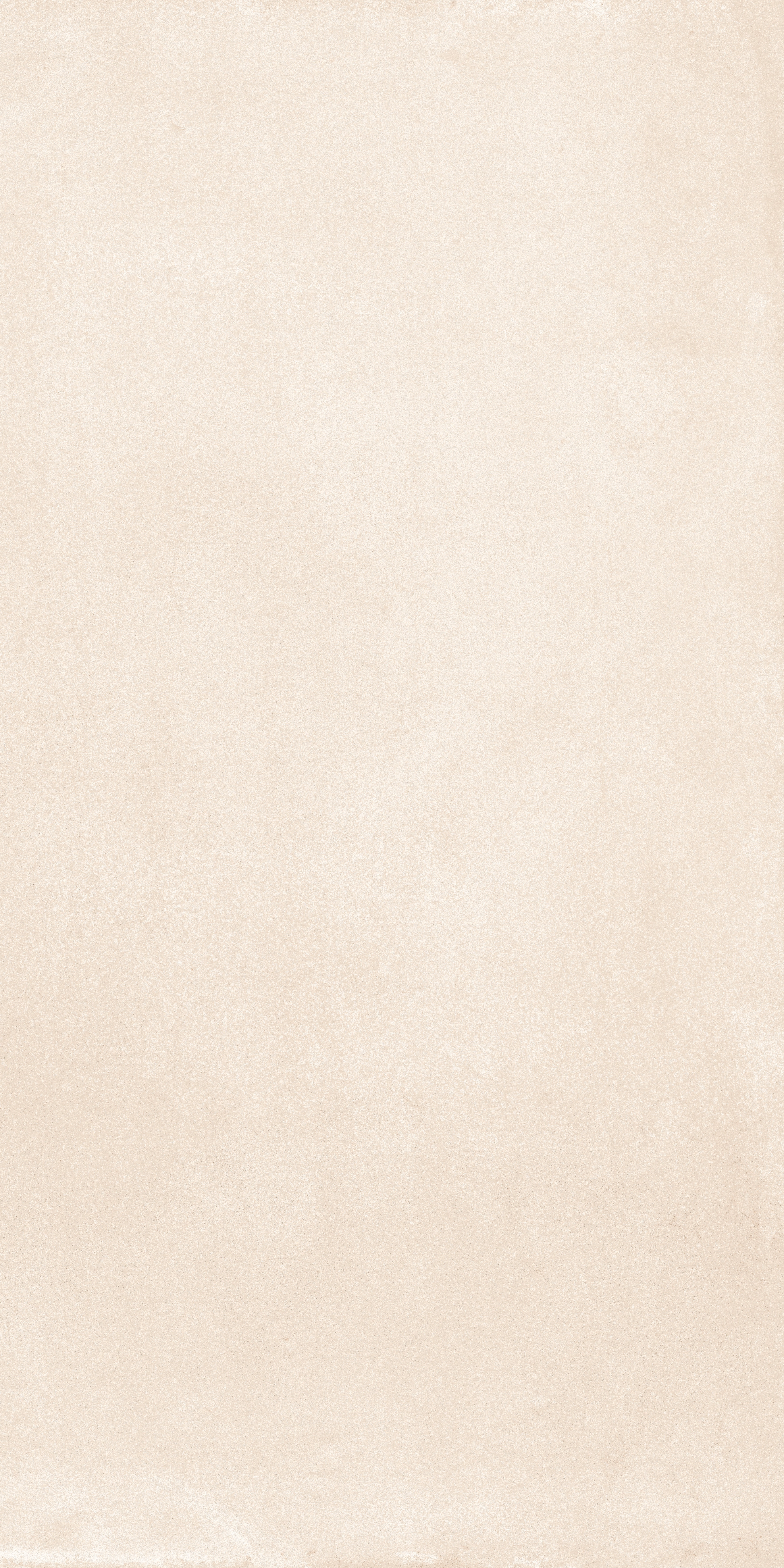 MOOD WHITE MAT 60x120 — 2