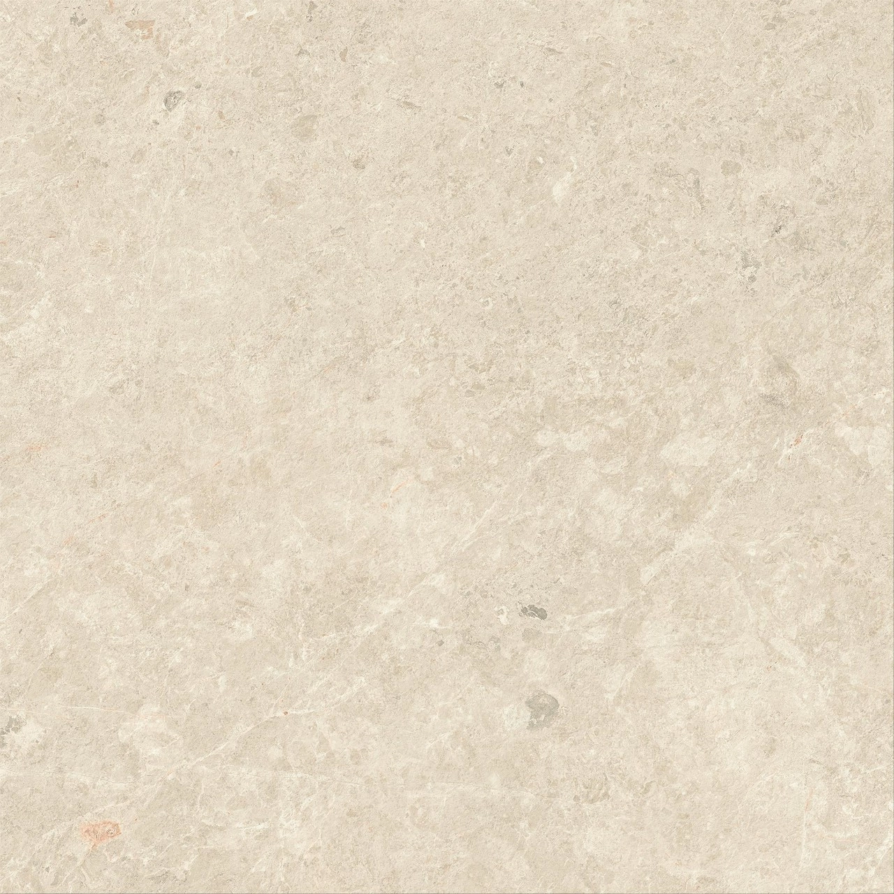 Nyra Hay 80x80 — 4