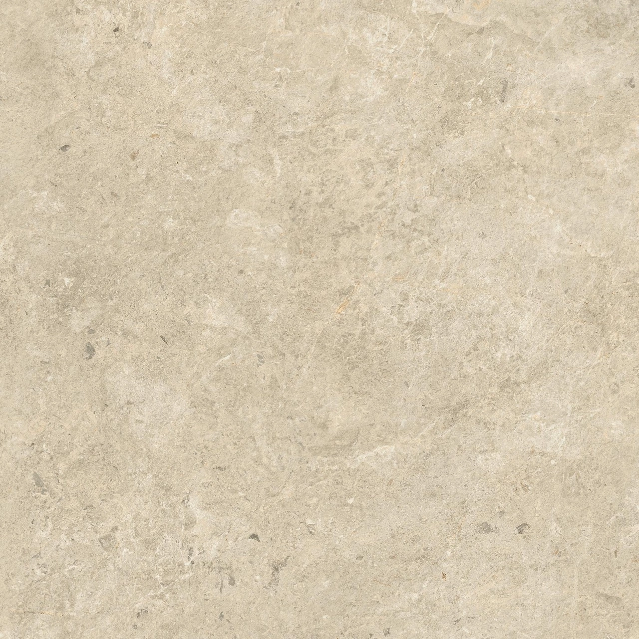 Nyra Sunlight 80x80