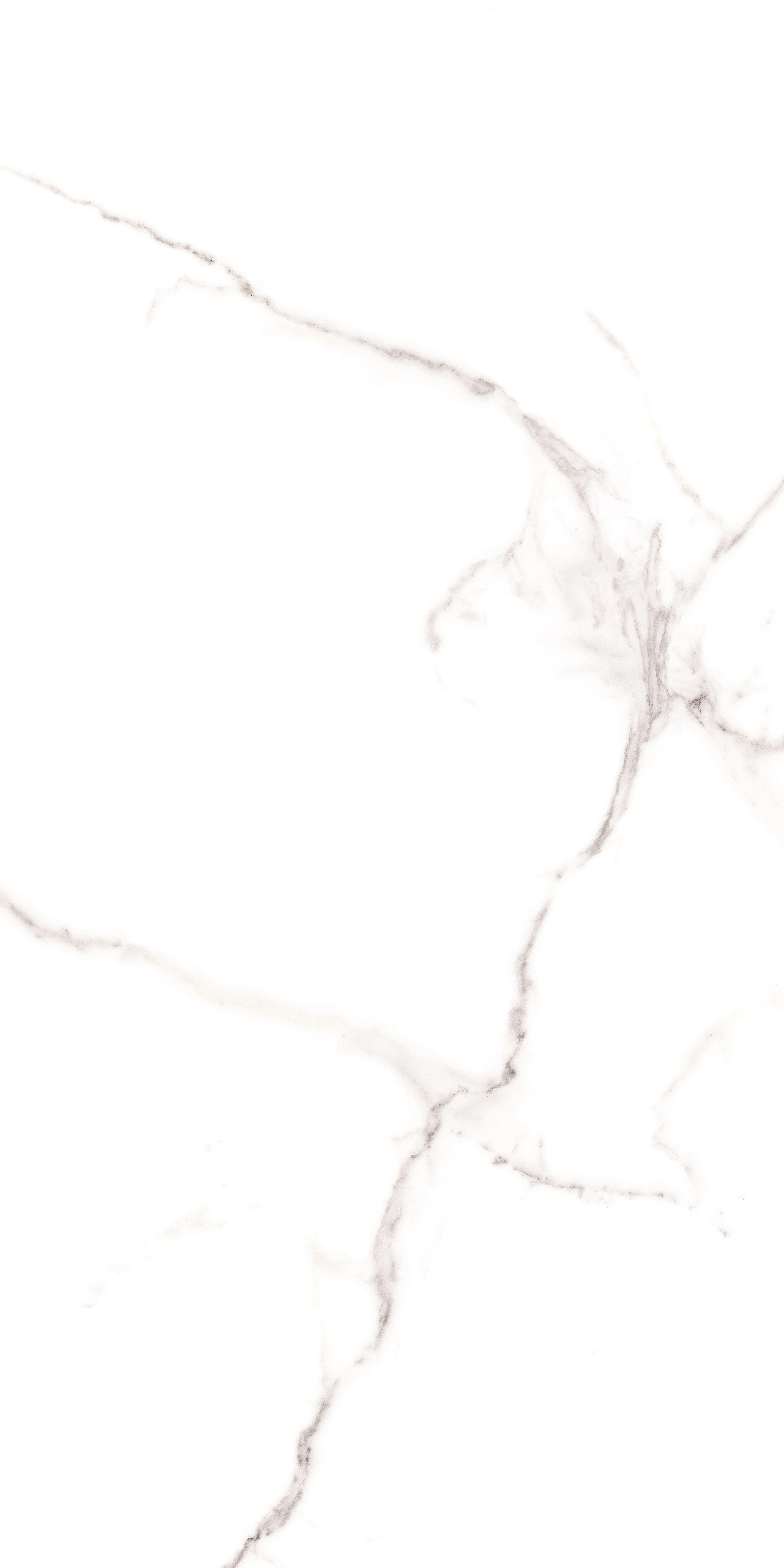 PALATINA BLANCO MT 60x120 — 2
