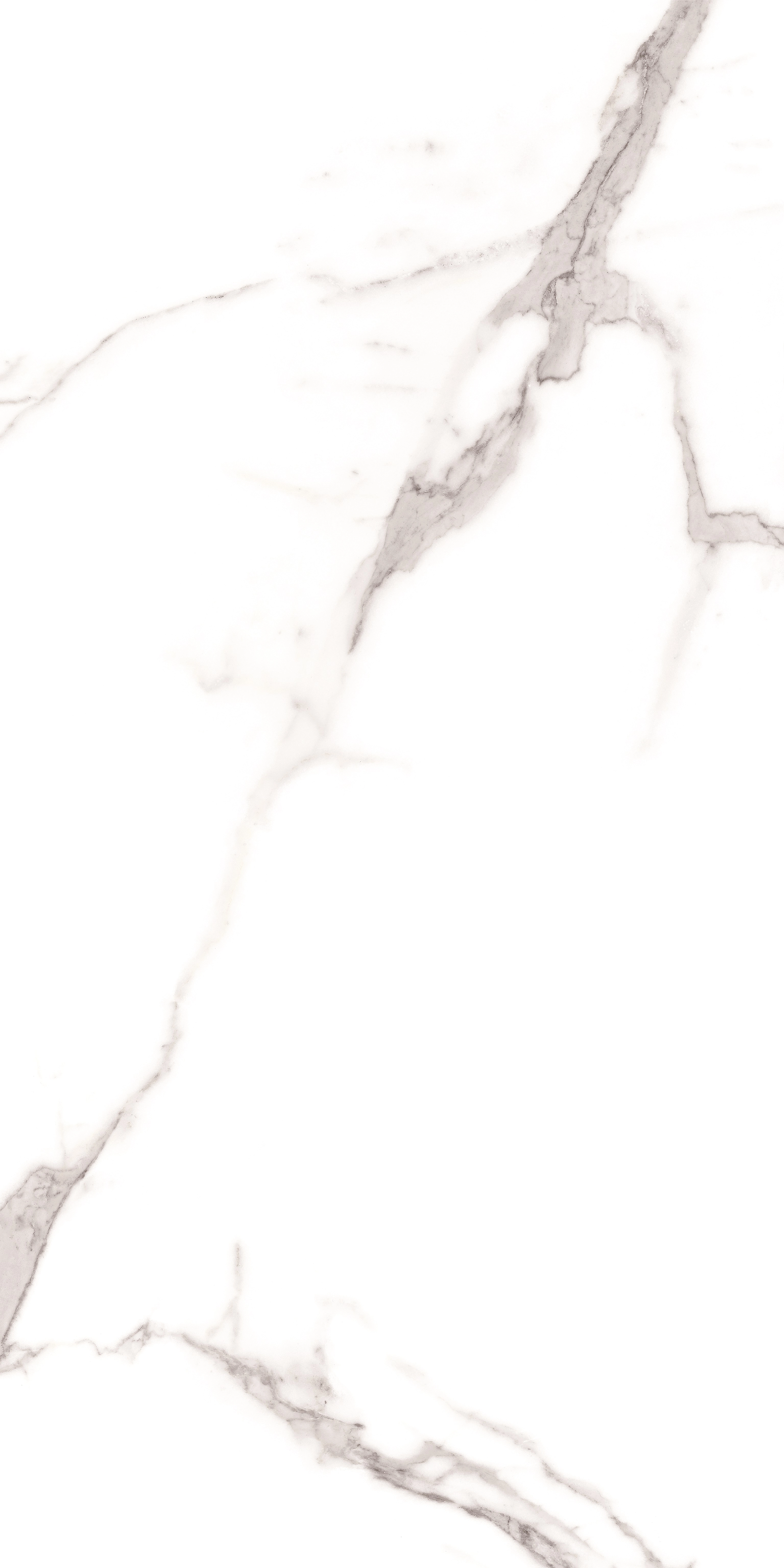 Gresie PALATINA BLANCO PL 60x120 — vedere 3