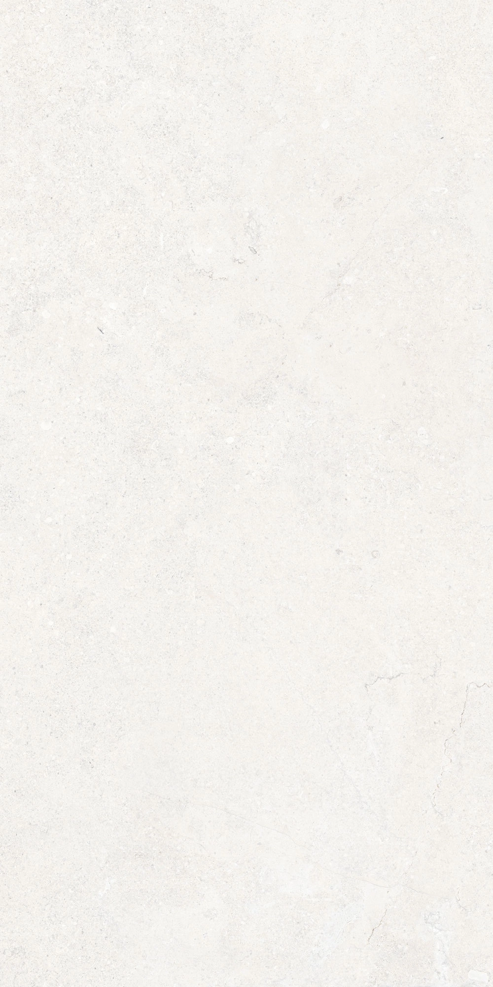 VERSA WHITE SP 60x120